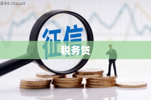 临猗税务贷