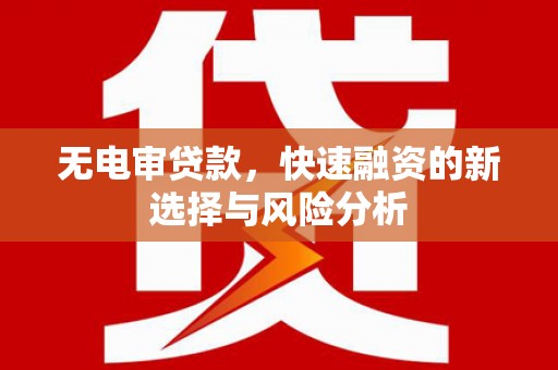 临猗无电审贷款，快速融资的新选择与风险分析