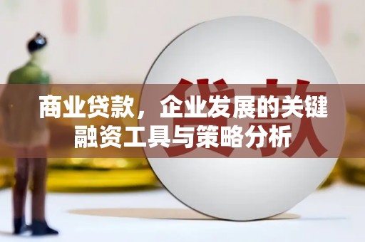 临猗商业贷款，企业发展的关键融资工具与策略分析