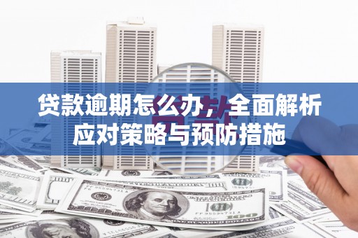 临猗贷款逾期怎么办，全面解析应对策略与预防措施