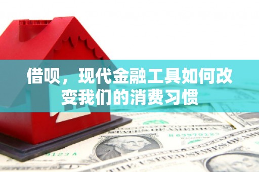 临猗借呗，现代金融工具如何改变我们的消费习惯