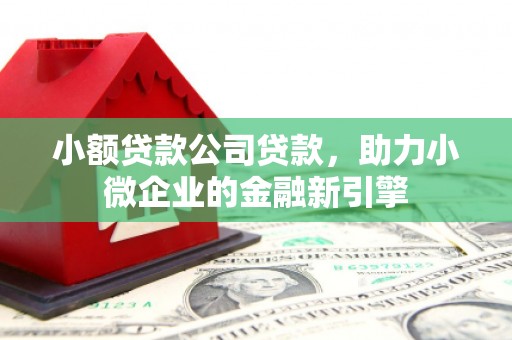 临猗小额贷款公司贷款，助力小微企业的金融新引擎
