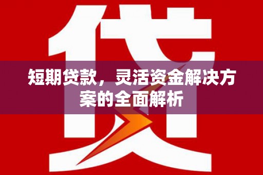临猗短期贷款，灵活资金解决方案的全面解析