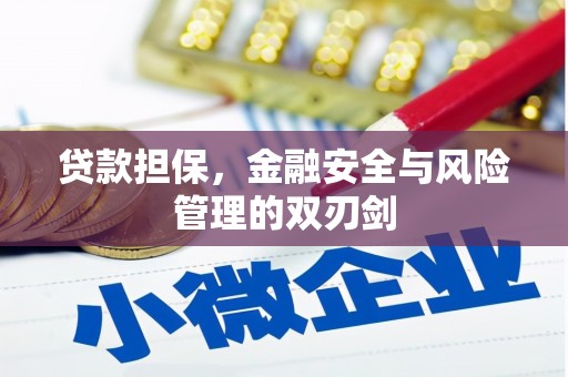 临猗贷款担保，金融安全与风险管理的双刃剑