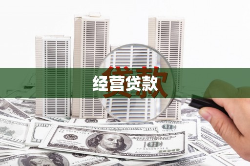 临猗经营贷款