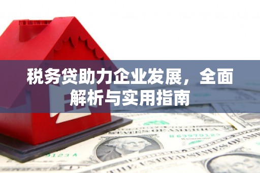 临猗税务贷助力企业发展，全面解析与实用指南