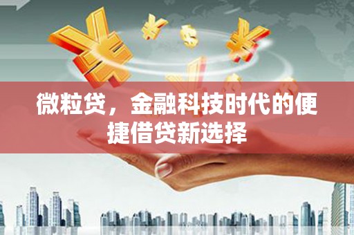 临猗微粒贷，金融科技时代的便捷借贷新选择