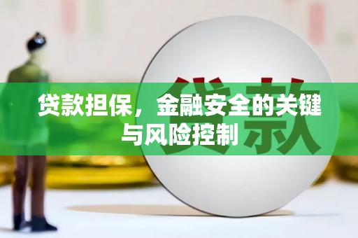 临猗贷款担保，金融安全的关键与风险控制