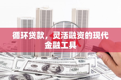 临猗循环贷款，灵活融资的现代金融工具