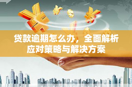 临猗贷款逾期怎么办，全面解析应对策略与解决方案