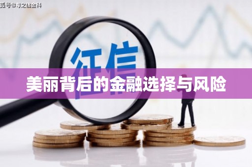 临猗美丽背后的金融选择与风险
