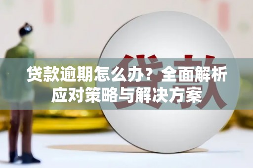 临猗贷款逾期怎么办？全面解析应对策略与解决方案