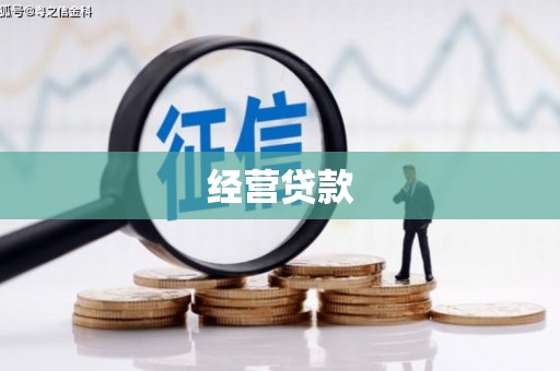 临猗经营贷款