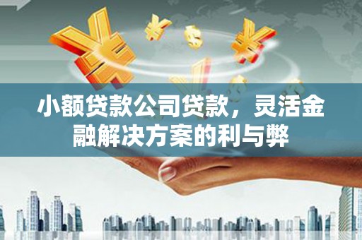 临猗小额贷款公司贷款，灵活金融解决方案的利与弊